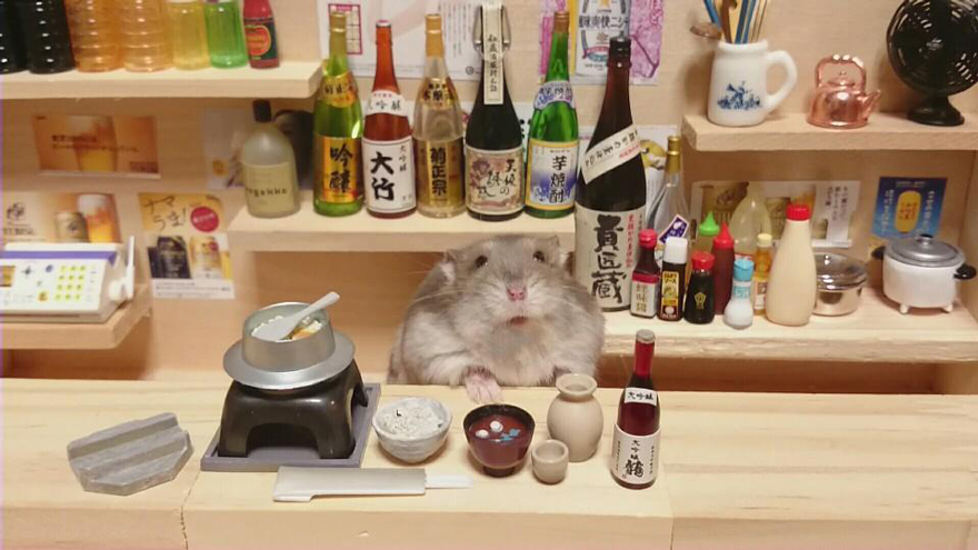 hamster-bartender-miniature-bar-kawanabesatou-21