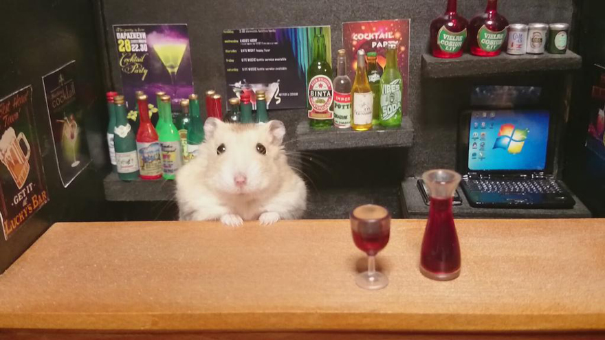 hamster-bartender-miniature-bar-kawanabesatou-22