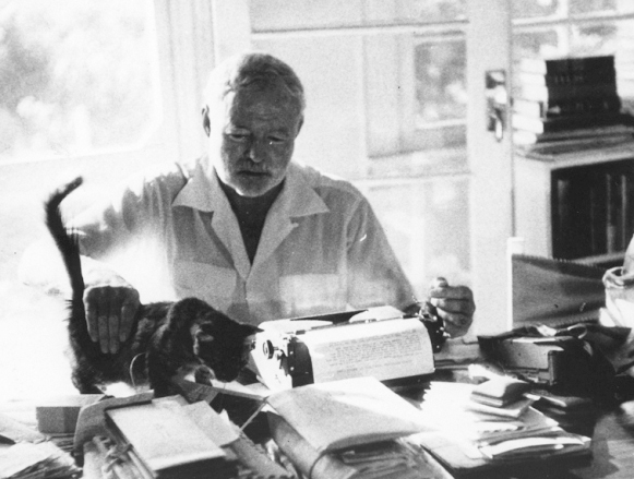 Hemingway og margtæði kötturinn hans Snowball