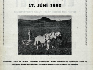 Sveitarómantíkin í algleymingi, 17. júní 1950