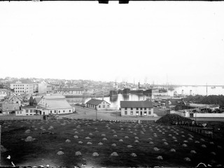 Höfnin í Reykjavík sumarið 1930