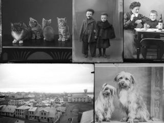 Hundar, kettir, börn og hús: Ljósmyndir Gunhild Thorsteinsson frá um 1910