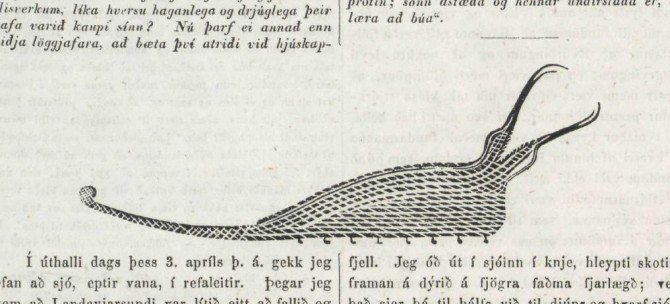 Vitnisburður íslensks bónda um sjávarskrímsli árið 1854